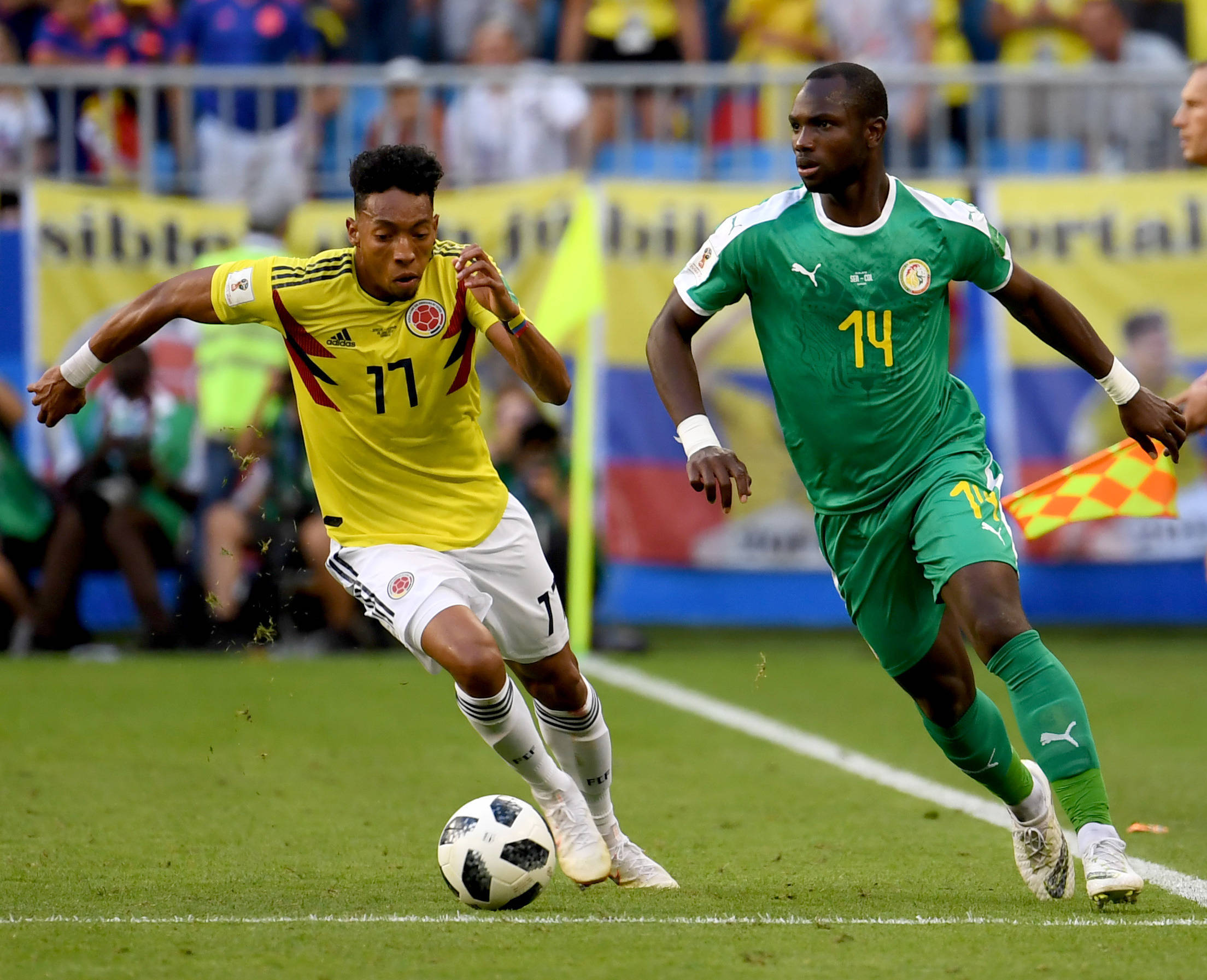 津门虎在落 津门虎在落